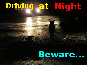 Tip The Day Have Safe Night Journey Aid0154 Tip The Day Have Safe Night Journey Aid0154