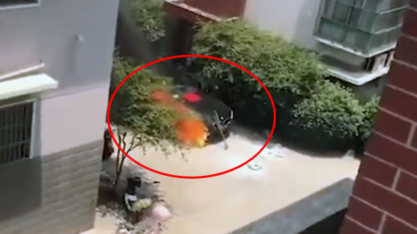 ब्रांड न्यू BMW की पूजा करते समय लगी आग, हुई धुआं-धुआं - देखें विडियो