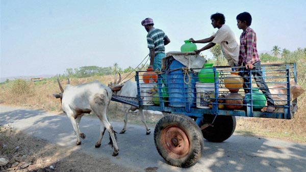 मोटर व्हीकल एक्ट 2019: बैल-गाड़ी पर ट्रैफिक फाइन 1000 रुपयें जानकारी
