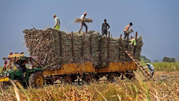 गुरुग्राम में ट्रैक्टर ड्राइवर को ट्रैफिक नियम तोड़ना पड़ा महंगा, कटा 59,000 रुपयें का चलान