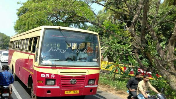 80 साल के इस ड्राइवर के लिए बस चलना नहीं है बड़ा काम, देखें वीडियो