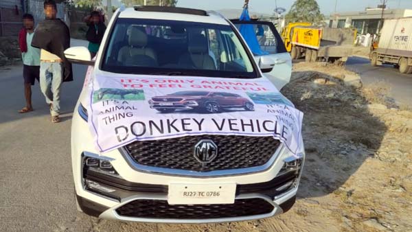 एमजी हेक्टर के ग्राहक ने कार में बंधवाया गधा, कहा यह कार इंसानों के लायक नहीं