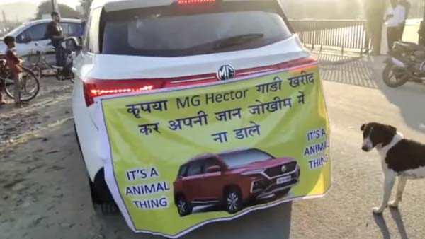 एमजी हेक्टर के ग्राहक ने कार में बंधवाया गधा, कहा यह कार इंसानों के लायक नहीं