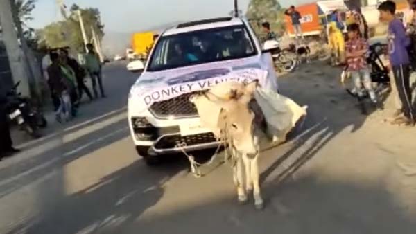 एमजी हेक्टर के ग्राहक ने कार में बंधवाया गधा, कहा यह कार इंसानों के लायक नहीं