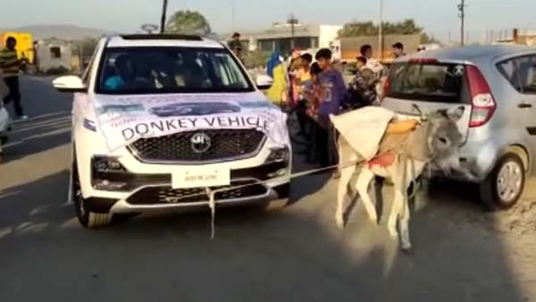 एमजी हेक्टर के ग्राहक ने कार में बंधवाया गधा, कहा यह कार इंसानों के लायक नहीं