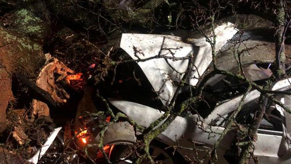 टेस्ला कार के ऑटो पायलट फीचर ने बचाई 8 लोगों की जान, महिला ने ट्वीट कर कहा एलोन मस्क को शुक्रिया