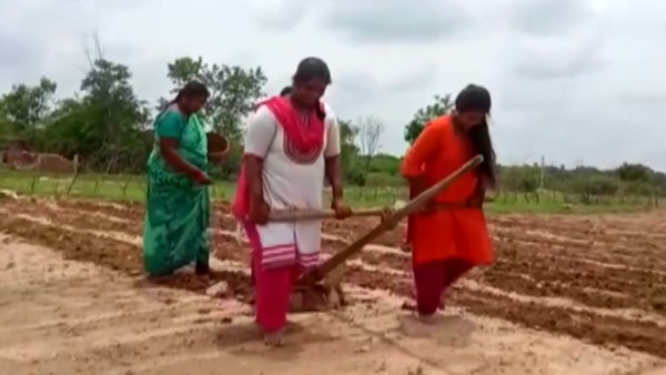 Sonu Sood Gifts Tractor to AP Family: सोनू सूद आंध्रप्रदेश के परिवार को गिफ्ट की ट्रैक्टर