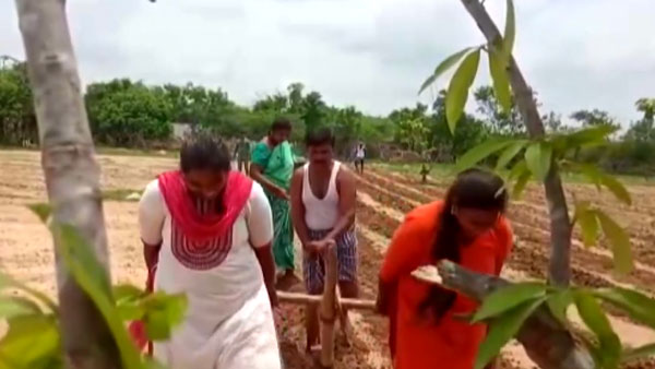 Sonu Sood Gifts Tractor to AP Family: सोनू सूद आंध्रप्रदेश के परिवार को गिफ्ट की ट्रैक्टर