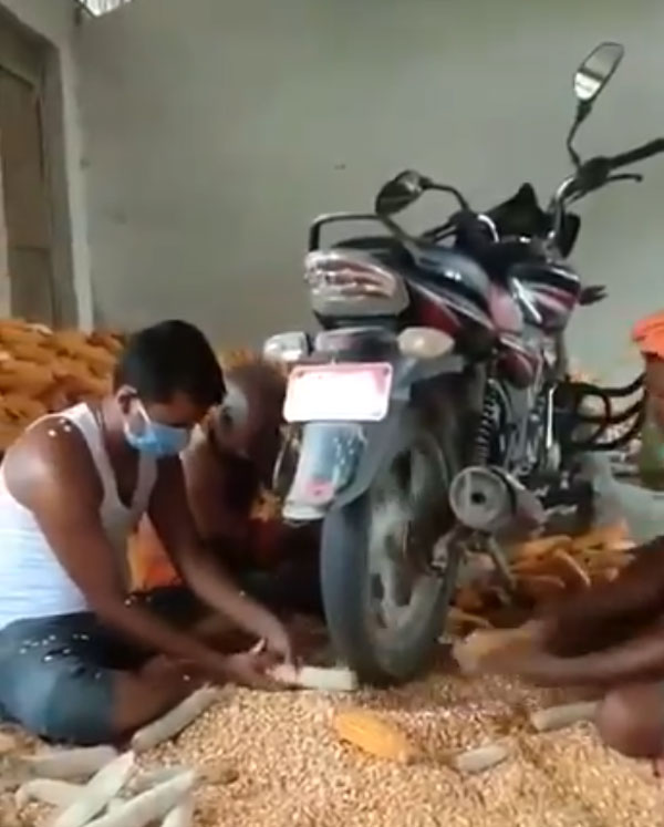 Bike Turned Into Farming Equipment: बाइक के चलते टायर से निकाल रहे थे मक्के के दाने, आनंद महिंद्रा ने की इस जुगाड़ की तारीफ