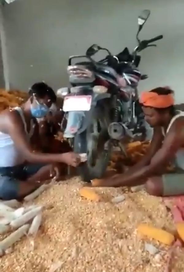 Bike Turned Into Farming Equipment: बाइक के चलते टायर से निकाल रहे थे मक्के के दाने, आनंद महिंद्रा ने की इस जुगाड़ की तारीफ