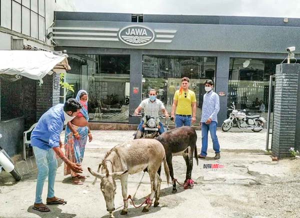 Jawa Owner Brings Donkeys Outside Delearship: जावा ओनर डीलरशिप के सामने लाया गधा, जानें क्या है कारण