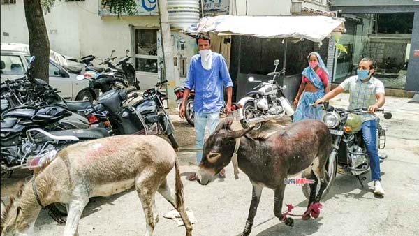 Jawa Owner Brings Donkeys Outside Delearship: जावा ओनर डीलरशिप के सामने लाया गधा, जानें क्या है कारण