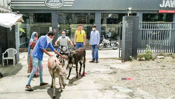Jawa Owner Brings Donkeys Outside Delearship: जावा ओनर डीलरशिप के सामने लाया गधा, जानें क्या है कारण