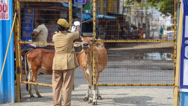 Ravindra Jadeja Argue With Woman Cop Over Mask: रविंद्र जडेजा कार से कर रहे थे सफर, महिला कांस्टेबल से मास्क को लेकर हुई बहस