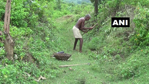 बिहार के लौंगी भुइयां को ट्रैक्टर गिफ्ट करेंगे आनंद महिंद्रा, कहा- मेरे लिए है गर्व की बात