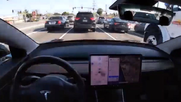 Driver Falls Asleep Behind wheel Of Overspeeding Tesla: टेस्ला कार को ऑटोपायलट में डालकर सोया ड्राईवर, स्पीड लिमिट तोड़ा