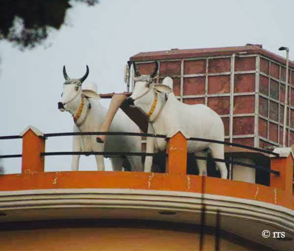 घर के ऊपर बनवाया महिंद्रा स्कॉर्पियो जैसा वॉटर टैंक, देखें तस्वीरें