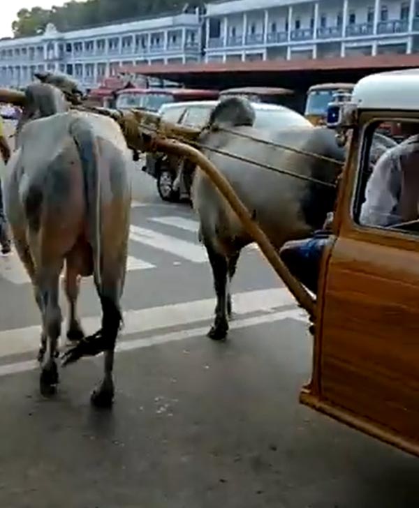 आनंद महिंद्रा ने ट्वीट किया अनोखी बैलगाड़ी का वीडियो, एलन मस्क को दे डाली यह चुनौती