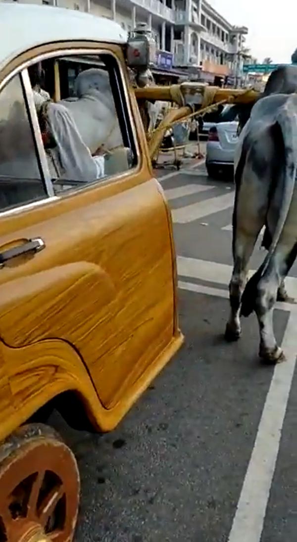 आनंद महिंद्रा ने ट्वीट किया अनोखी बैलगाड़ी का वीडियो, एलन मस्क को दे डाली यह चुनौती