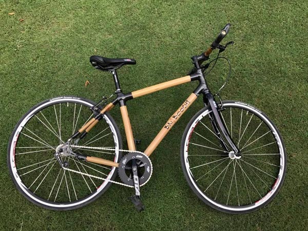 LightSpeed Eco Friendly e-Cycle: लाइटस्पीड मोबिलिटी ने लॉन्च की बांस से बनी ई-साइकिल, जानें कीमत