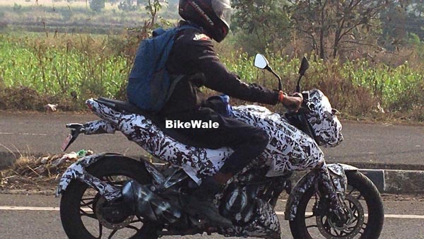 Bajaj Pulsar 250 Spied Testing: बजाज लाने वाली है पल्सर की 250 सीसी मॉडल, मिलेगा नया ऑयल कूल्ड इंजन