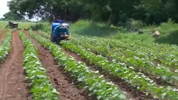 Tractor From Bullet: महाराष्ट्र के किसान ने बुलेट से बना दिया ट्रैक्टर, कर रहे हैं खेती के खर्च में लाखों की बचत
