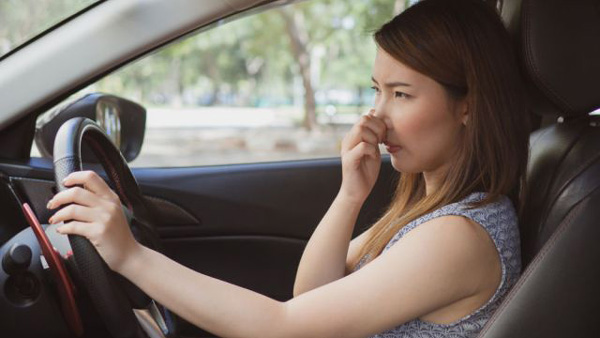 Why Leaving Food In Car Is Risky: आखिर कार में क्यों नहीं छोड़ना चाहिए खाने-पीने का सामान, 5 कारण