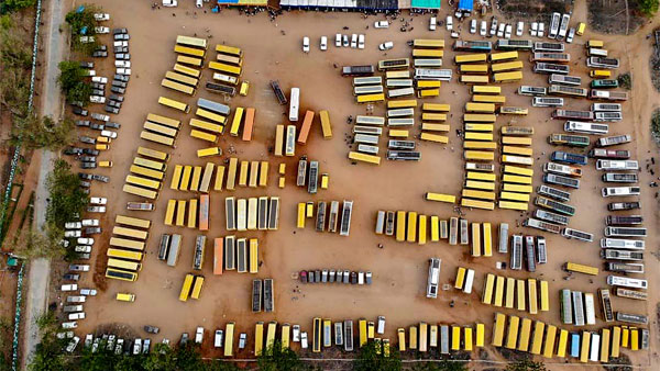 Why School Buses Are Yellow In Colour: स्कूल बसों को पीले रंग से ही क्यों किया जाता है पेंट, जानें वजह