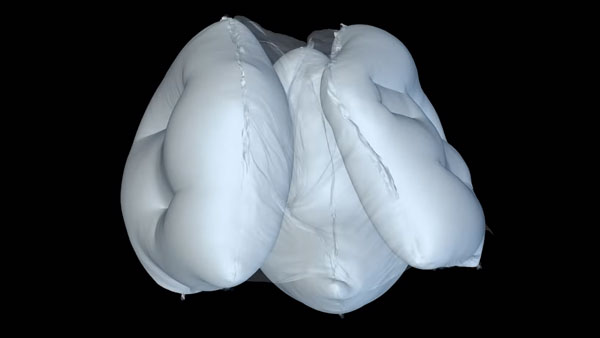 Dual Airbags Made Mandatory For Cars: कार में अब दो एयरबैग होंगे जरूरी, बढ़ेगी यात्रियों की सुरक्षा