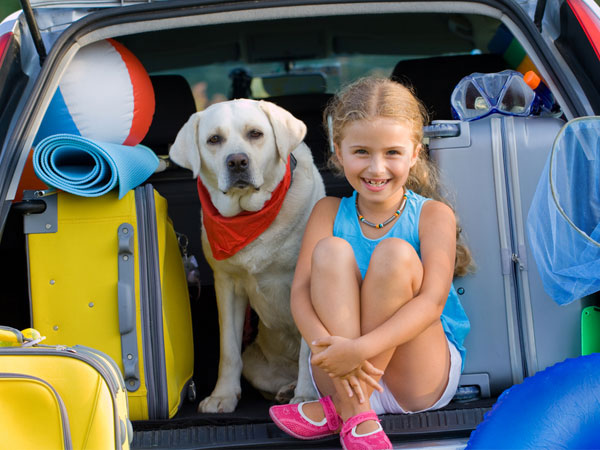 Make Car Travel Easy In Summer: गर्मियों में कार से सफर को बनाएं आसान, जानें कुछ जरूरी टिप्स
