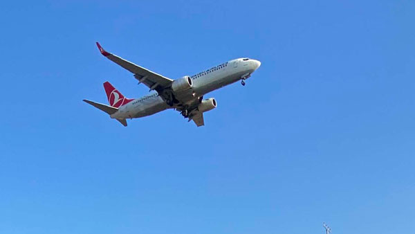Bird Strike On Aeroplanes: उड़ते विमान से पक्षियों के टकराने पर होता है ये हाल, कैसे करते हैं बचाव? जानें
