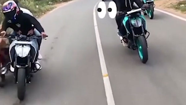 RTO Suspended Duke’s Rider License: खतरनाक राइडिंग के चलते बाइकर का लाइसेंस हुआ रद्द, देखें वीडियो