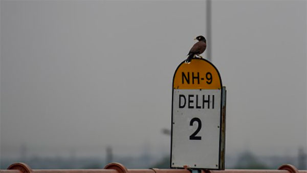 Different Colour Of Milestones: आखिर मील के पत्थर अलग-अलग रंग के क्यों होते हैं? जान लीजिए ये रहस्य