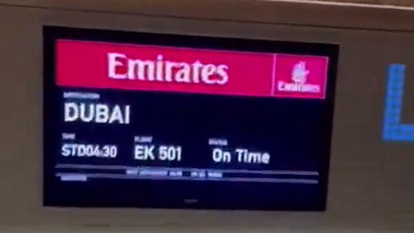Man Flies Solo From Mumbai To Dubai: 360-सीटर प्लेन में मुंबई से दुबई ने इस व्यक्ति ने अकेले किया सफर, सिर्फ 18,000 रुपये आया खर्च