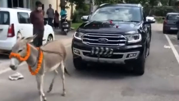 Ford Endeavour के मालिक ने गधे से खिंचवाई अपनी कार, सामने आया घटना का वायरल वीडियो