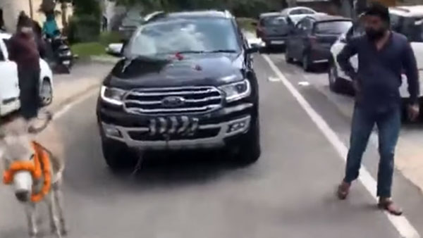 Ford Endeavour के मालिक ने गधे से खिंचवाई अपनी कार, सामने आया घटना का वायरल वीडियो