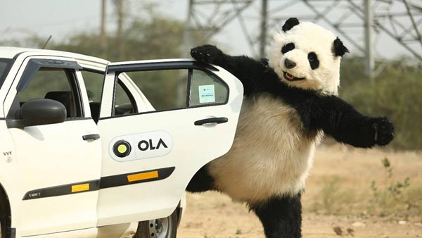 Ola ने पहले ही महीने बेचीं 5000 सेकंड हैंड कारें, 7 शहरों में करती है बिक्री