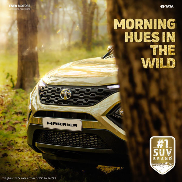 Tata Kaziranga Edition SUVs 23 फरवरी को हो सकती हैं लॉन्च, जानें क्या होने वाला है खास