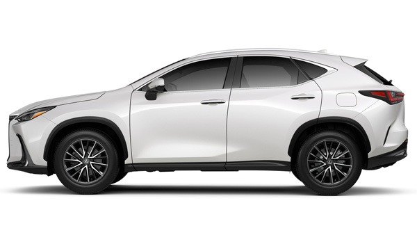 भारत में लाॅन्च हुई नई Lexus NX 350h SUV, जानें कीमत, फीचर्स से जुड़ी सभी डिटेल्स