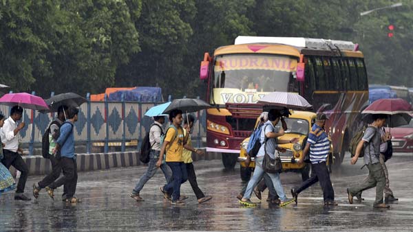 पैदल चलने वाले नहीं रखेंगे जेबरा क्रॉसिंग का ध्यान, चालकों को सड़क पर रहना होगा सतर्क - कोर्ट